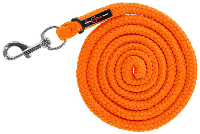 Load image into Gallery viewer, Voorbrenglijn met musketon hippo pe oranje
