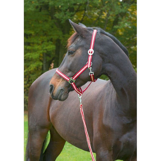 Abi producten hippo halster bordeauxbeige 00 veulenmini shetland