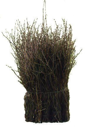 Eurotools rijsbezem bruin 75cm