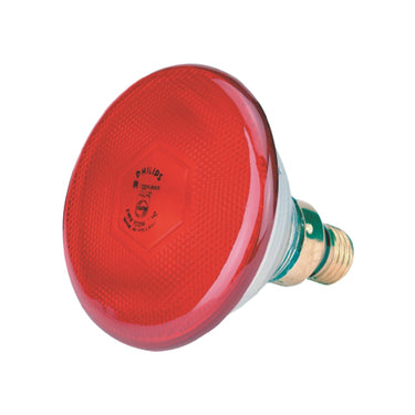 Producten warmtelamp philips 100w rood