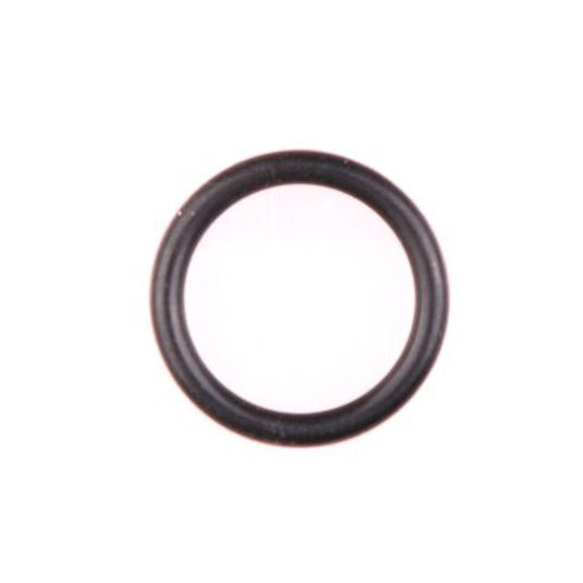 Gloria o ring 4