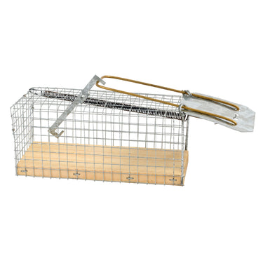 Ngk producten vaooi muis houten bodem