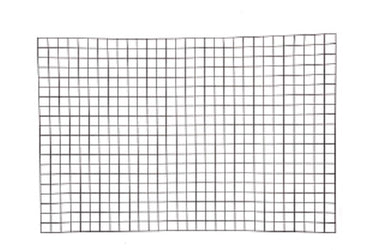 Giardino producten bologna draadpaneel 5x5cm x 150cm x 80cm ral 7016 antraciet