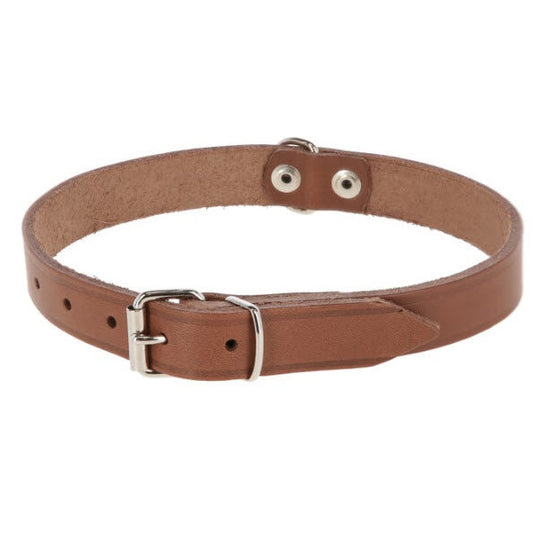 Producten hondenhalsband leer 12mm naturel