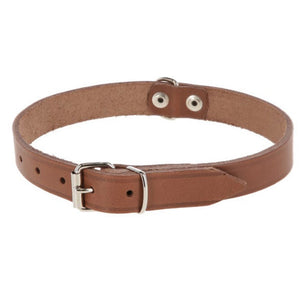 Producten hondenhalsband leer 20mm taupe