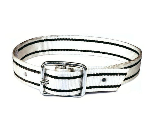 Producten zeugeband nylon 165cm tonggesp