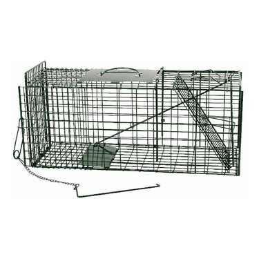 Ngk producten levendvanger vaooi groen 67x24x31 5cm