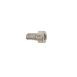 Inbusbout M6x12 RVS per 25