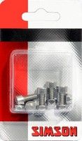 Allen screws M5 x 12 mm silver 5 pieces