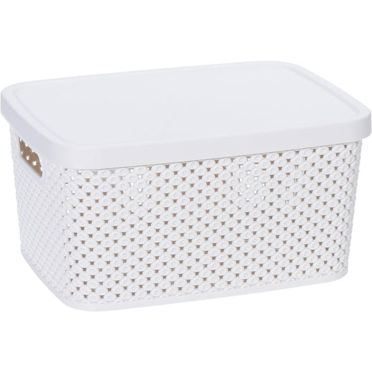 Storage solutions opbergdoos met deksel 3,5 liter 23x17x12cm kunststof 4ass