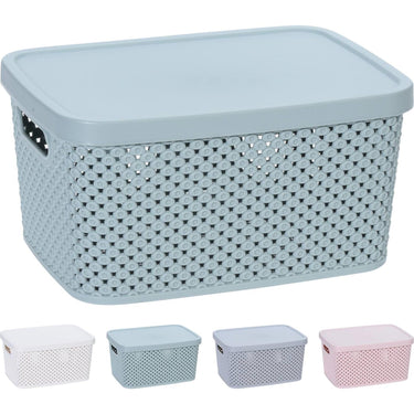 Storage solutions opbergdoos met deksel 3,5 liter 23x17x12cm kunststof 4ass