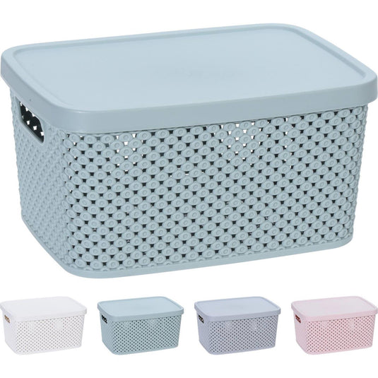Storage solutions opbergdoos met deksel 3,5 liter 23x17x12cm kunststof 4ass