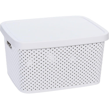 Storage solutions opbergdoos met deksel 7 liter 27,4x22x15cm kunststof 4ass