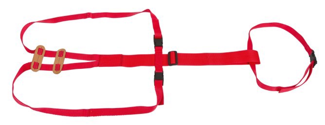 Load image into Gallery viewer, Lijfbieder bandage prolapsbandage voor schapen
