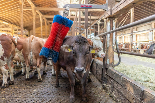 Happycow veeborstel freemaxi