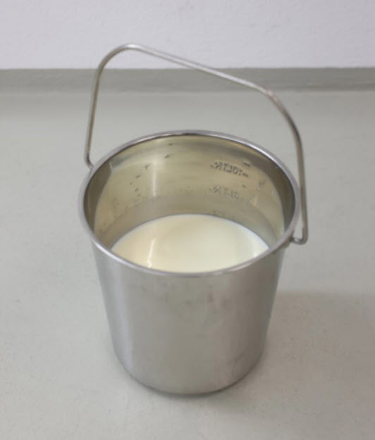 Load image into Gallery viewer, Producten emmer rvs met hengsel 12 3l
