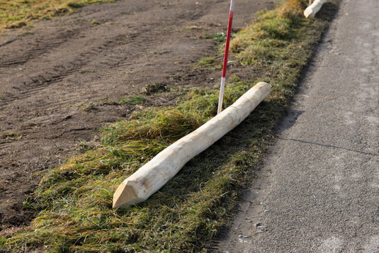 Ako producten robiniapaal hoek 250cm hoog oe 14 16cm