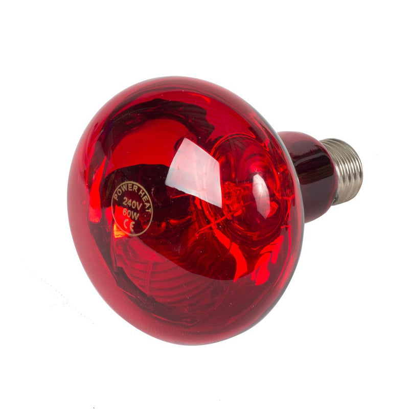 Load image into Gallery viewer, Producten warmtelamp powerheat 60w rood

