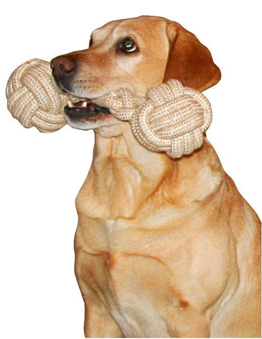 Load image into Gallery viewer, Halter m jutekatoen %c3%b87x25cm
