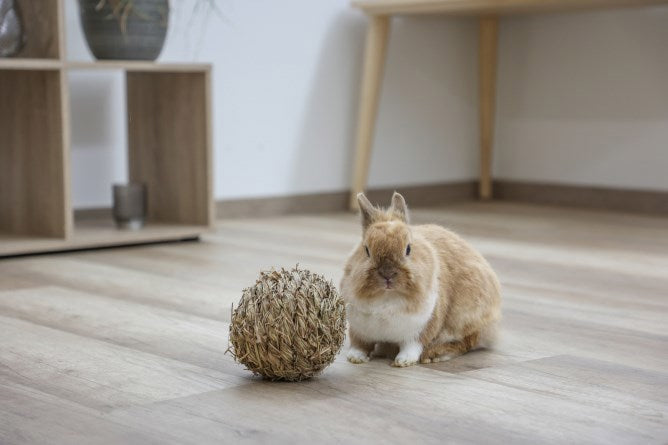 Load image into Gallery viewer, Kerbl grasbal %c3%b8 13 cm
