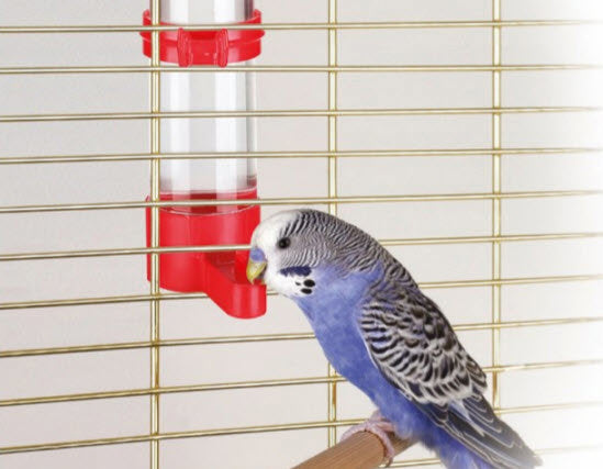 Load image into Gallery viewer, Kerbl vogeldrinkbak 16 cm 130 ml
