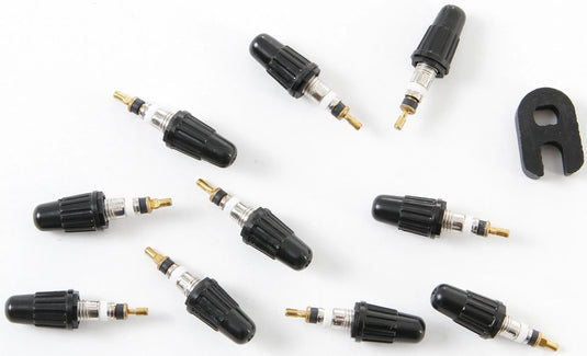 Continental replacement valves sv 10 pieces