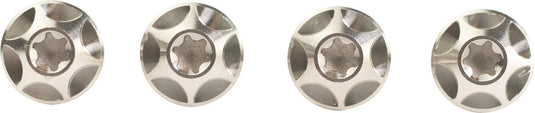 Silca schraube screw silver 4pcs.