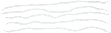 Hanseline poetstouw velo floss cleaning line velo floss white