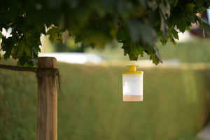 Kerbl vliegenval flycage3
