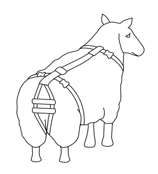 Lijfbieder bandage prolapsbandage voor schapen