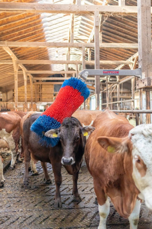 Happycow veeborstel freemaxi