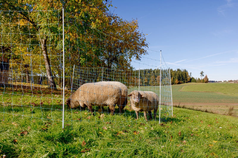 Load image into Gallery viewer, Ako producten schapennet ovinet blauw wit 170cm x 25m dubbele pen
