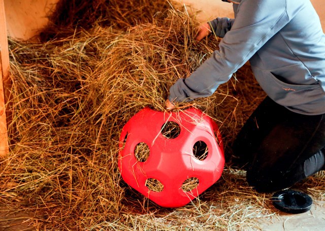 Load image into Gallery viewer, Voederspeel bal rood
