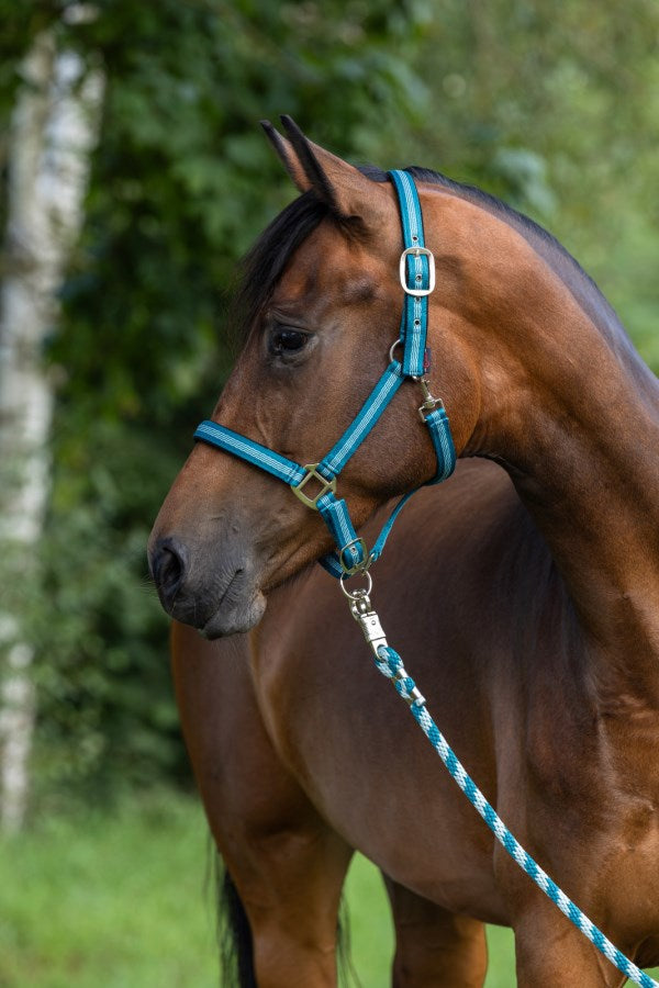 Load image into Gallery viewer, Abi producten halstertouw mustang karjnhaak 200cm turkoois
