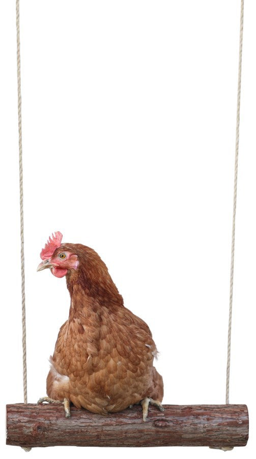 Load image into Gallery viewer, Kerbl kippenschommel 39 x %c3%b8 5cm
