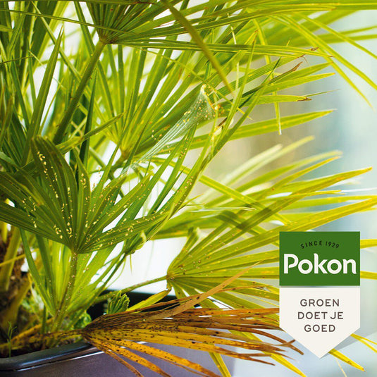 Pokon bio tegen hardnekkige insecten concentraat 175ml poly