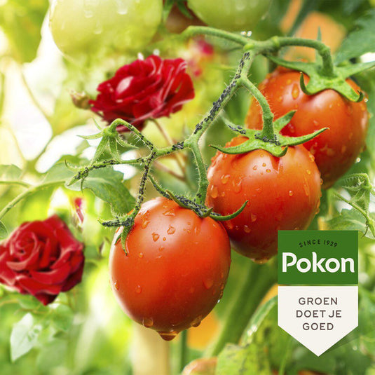 Pokon producten bio tegen insecten concentraat 225ml polysect gyo
