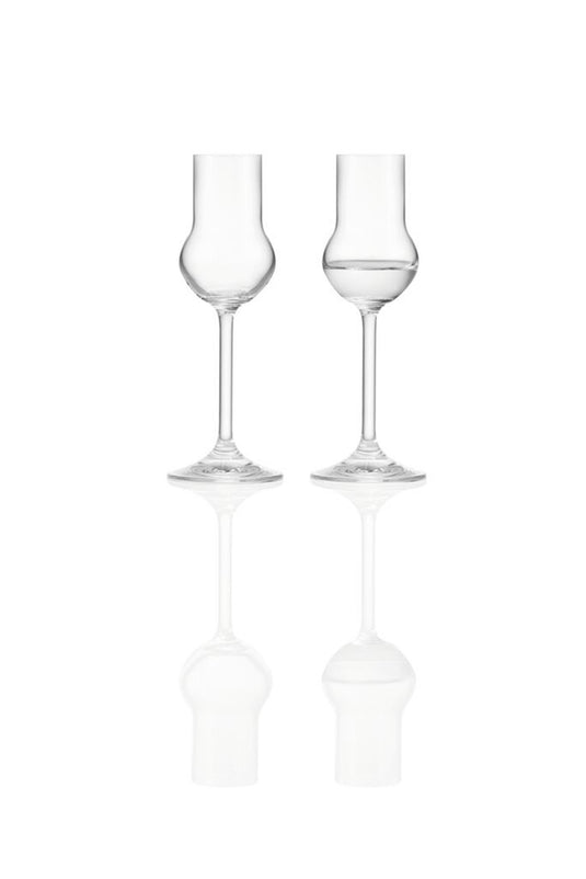 Montana pure likeurglazen set van 6 stuks 60ml