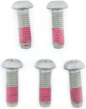 Trw bouten-set screw 5pcs. for brake rotors,5 pcs.