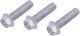 Trw bouten-set screw set 3pcs. m8x1,25
