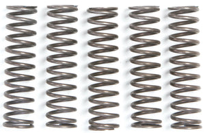 Trw koppelingsveer set mef1 clutch spring kit mef105-5