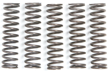Trw koppelingsveer set mef1 clutch spring kit mef105-5