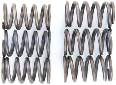 Trw koppelingsveer set mef1 clutch spring kit mef123-6
