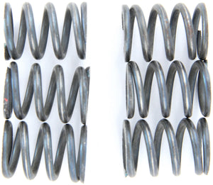 Trw koppelingsveer set mef1 clutch spring kit mef153-6