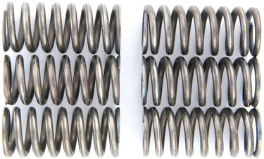 Trw koppelingsveer set mef1 clutch spring kit mef154-6