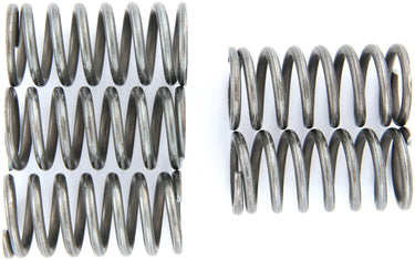 Trw koppelingsveer set mef1 clutch spring kit mef159-5
