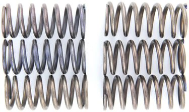 Trw koppelingsveer set mef1 clutch spring kit mef160-6