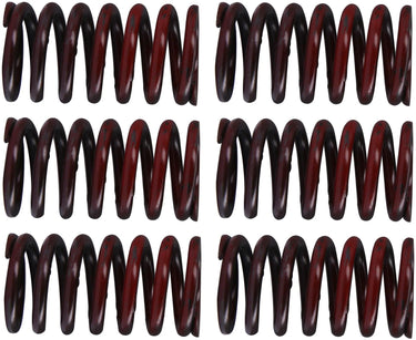 Trw koppelingsveer set mef3 clutch spring kit mef317-6