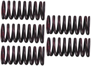 Trw koppelingsveer set mef3 clutch spring kit mef316-5