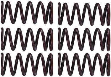 Trw koppelingsveer set mef3 clutch spring kit mef300-6